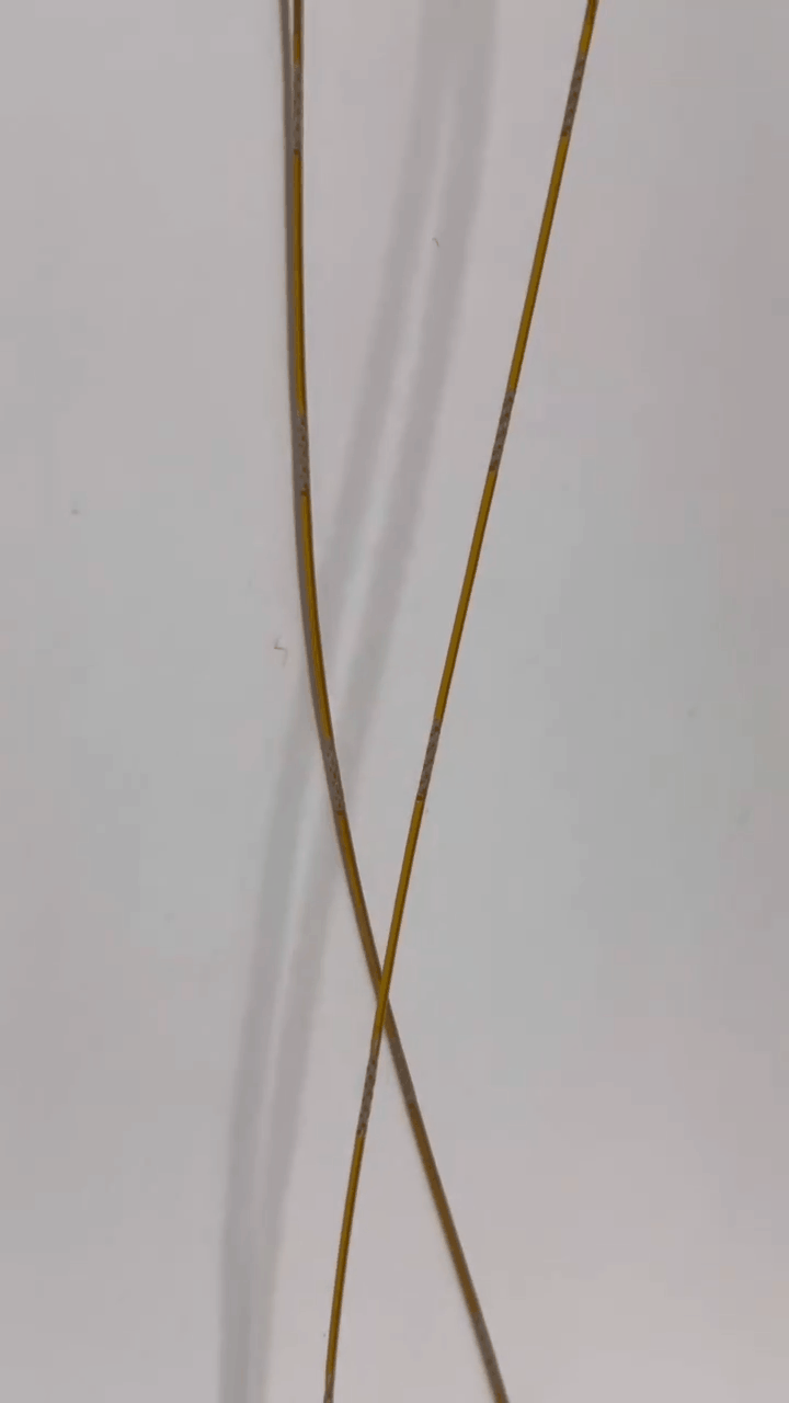 1752745692778869.gif